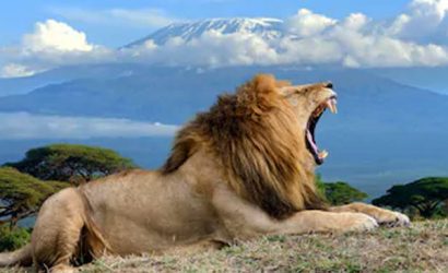 Kilimanjaro National Park