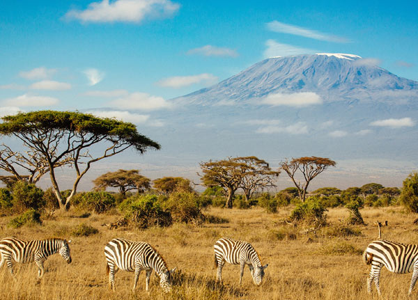 Kilimanjaro National Park