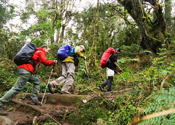 Kilimanjaro National Park
