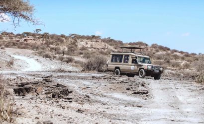 Tanzania Safari Packages