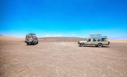 Tanzania Safari