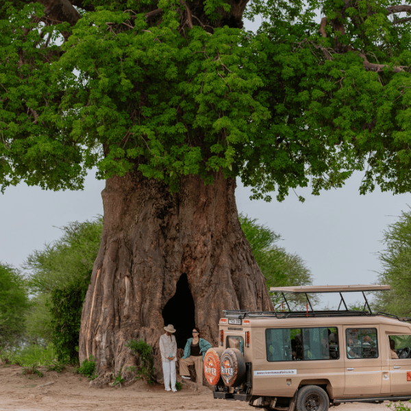 riverstonesafaris4