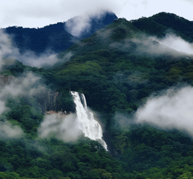 Udzungwa